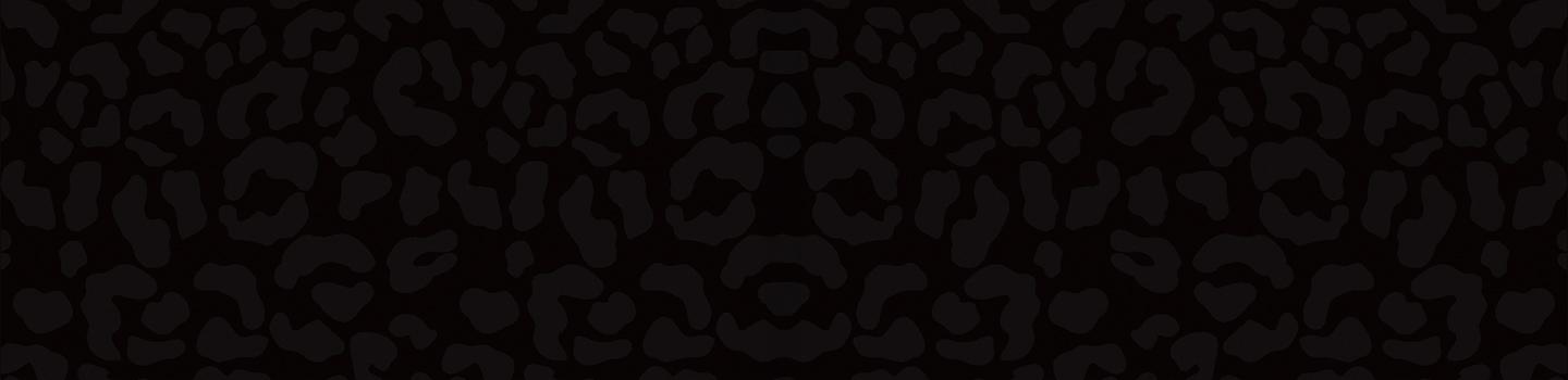 Texas A&M-San Antonio Jaguars  marketplace banner