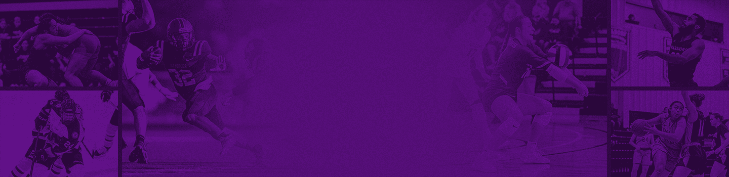 Waldorf University Warriors marketplace banner