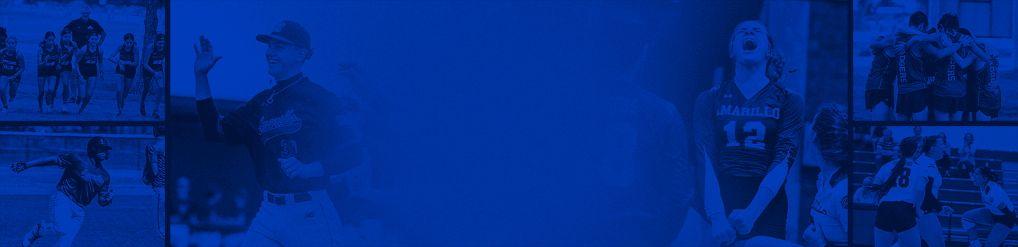 Amarillo College Badgers marketplace banner