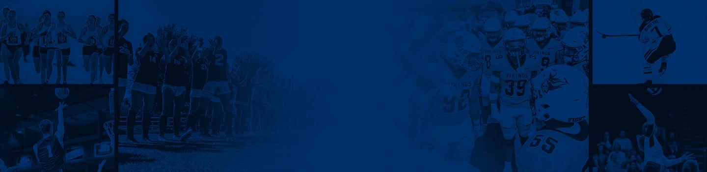 Augustana Vikings marketplace banner