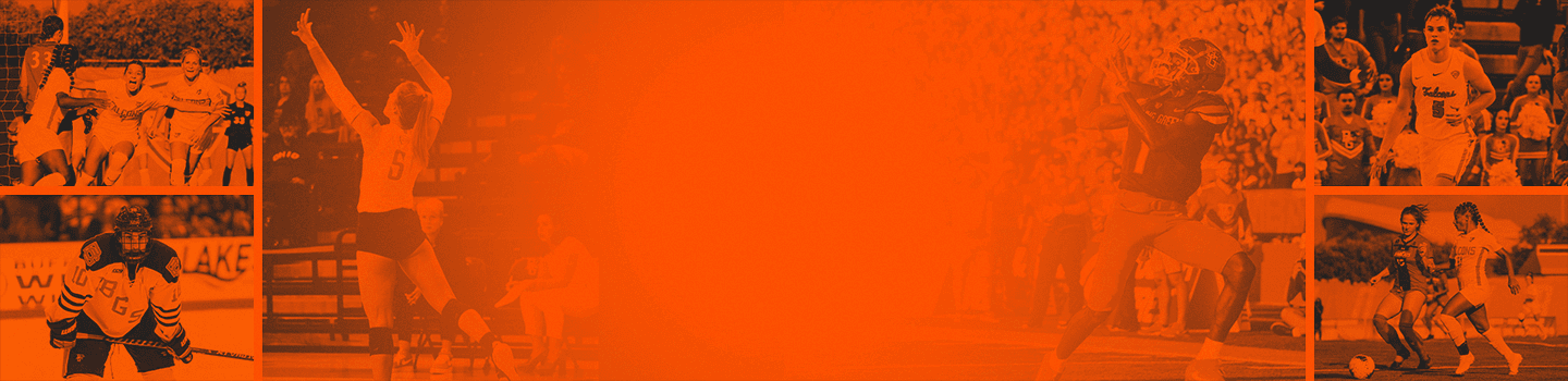 Bowling Green Falcons marketplace banner