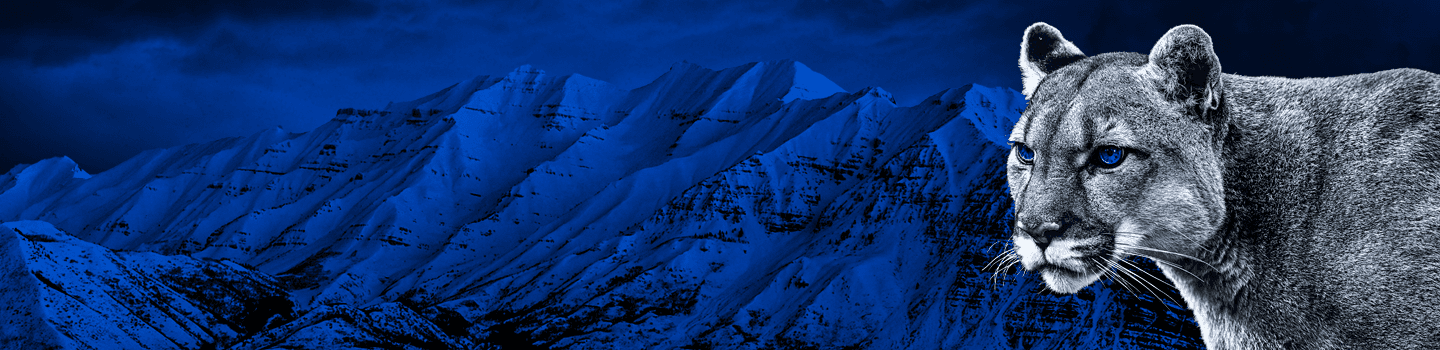 BYU Cougars marketplace banner