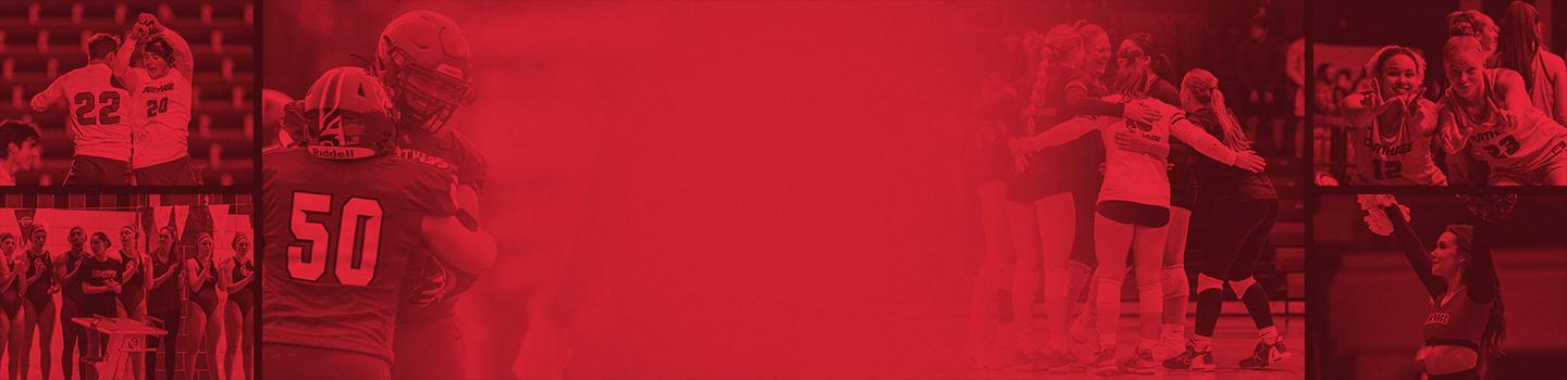 Carthage College Firebirds marketplace banner