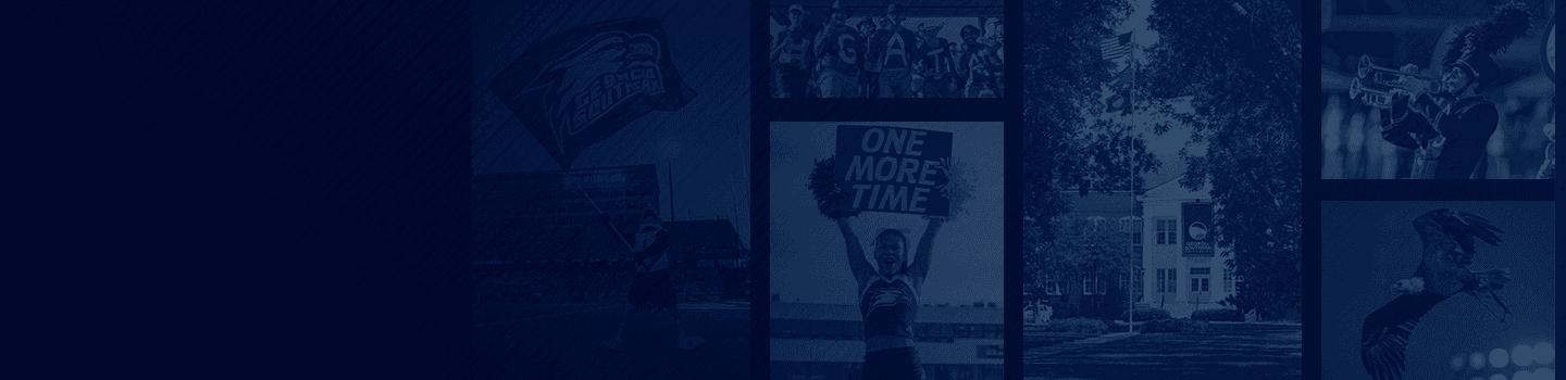 Georgia Southern Eagles marketplace banner