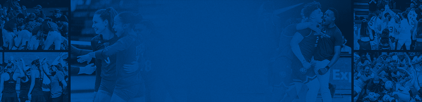 Louisiana Tech Bulldogs marketplace banner