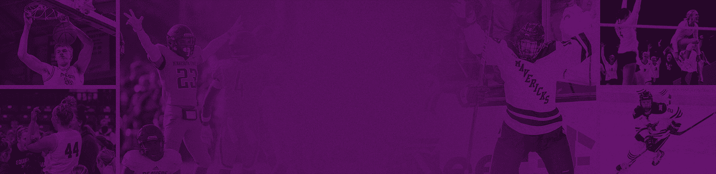 Minnesota State Mavericks marketplace banner