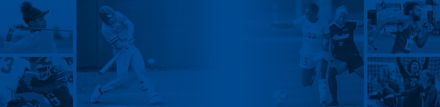 NAIA marketplace banner