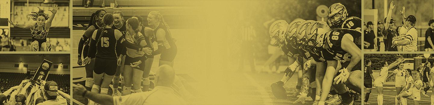 Nebraska Wesleyan University Prairie Wolves marketplace banner