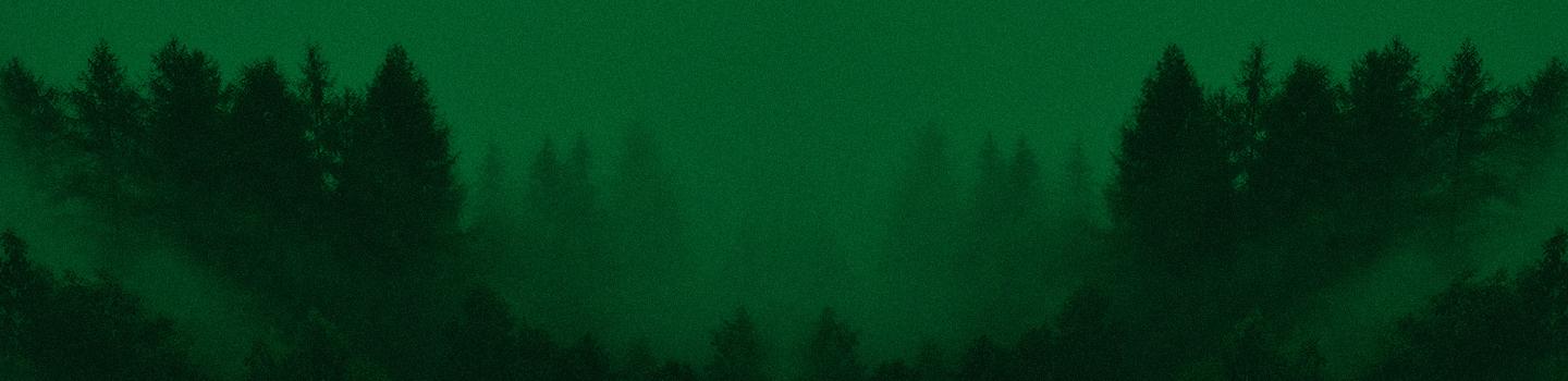 Oregon Ducks marketplace banner