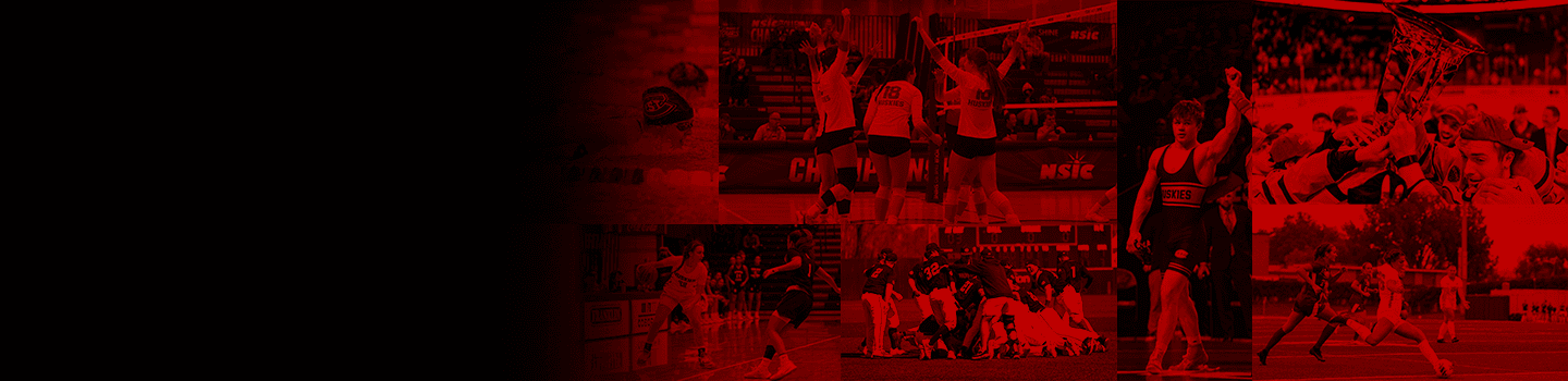 St Cloud State Huskies marketplace banner