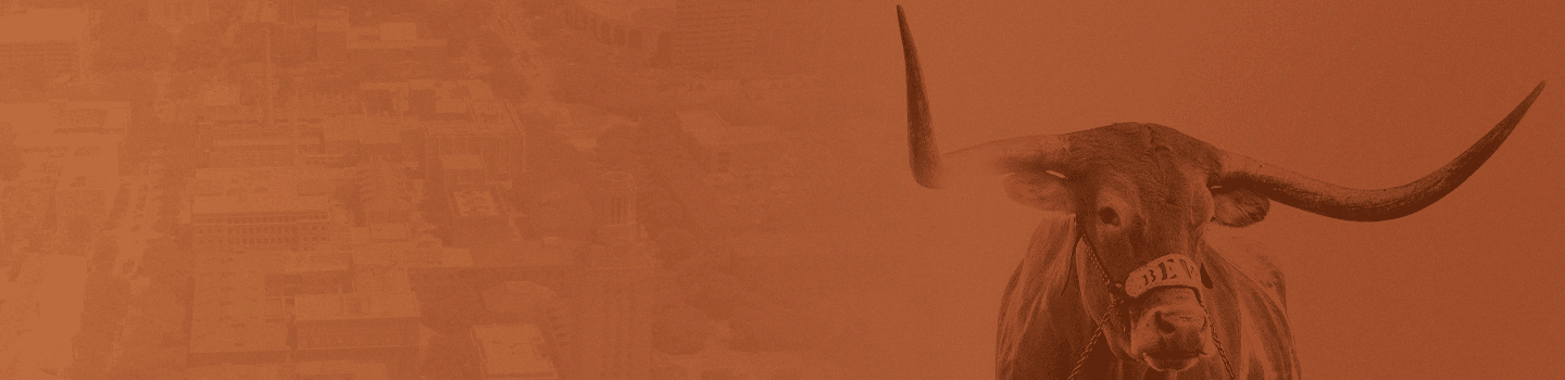 Texas Longhorns marketplace banner