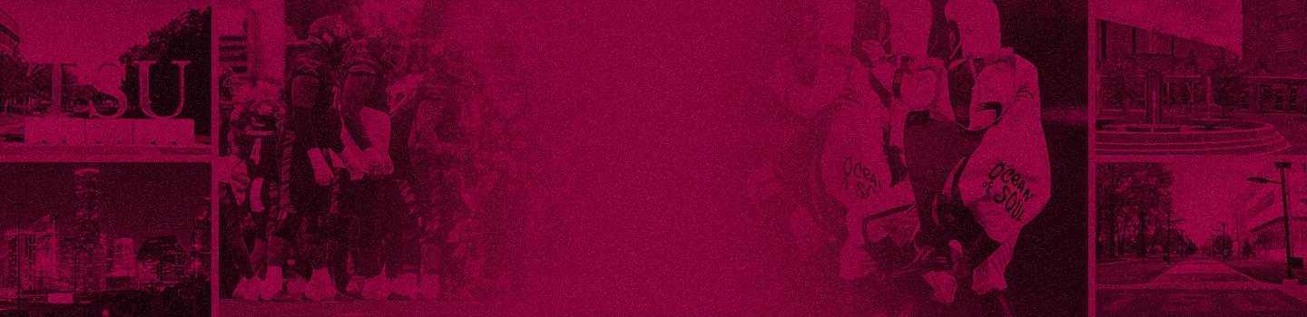 Texas Southern Tigers marketplace banner