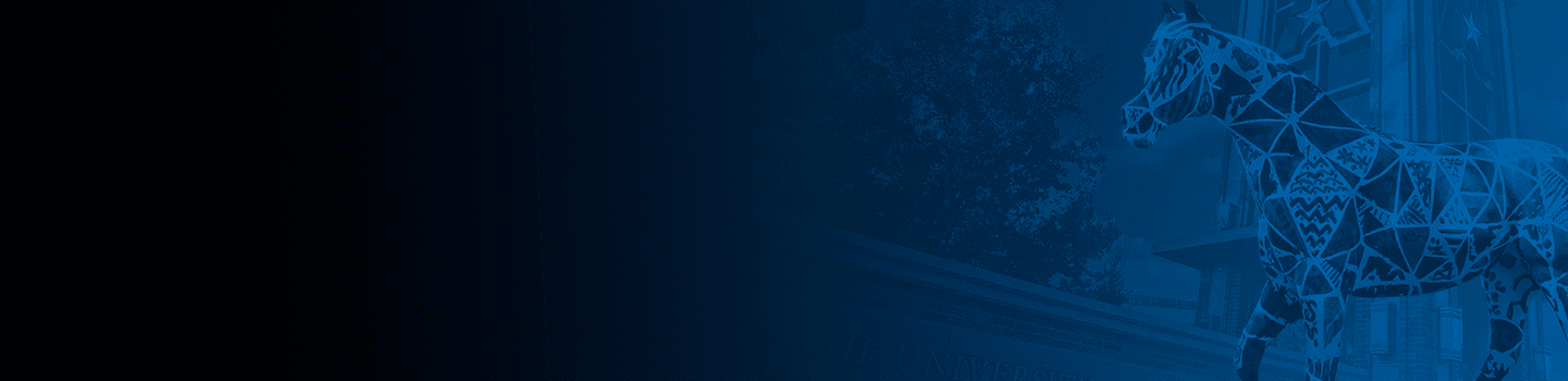 UTA Mavericks marketplace banner