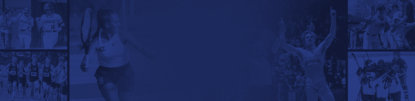 UW-Eau Claire Blugolds marketplace banner